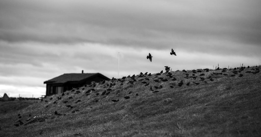 Foto: Anne Helen Robberstad