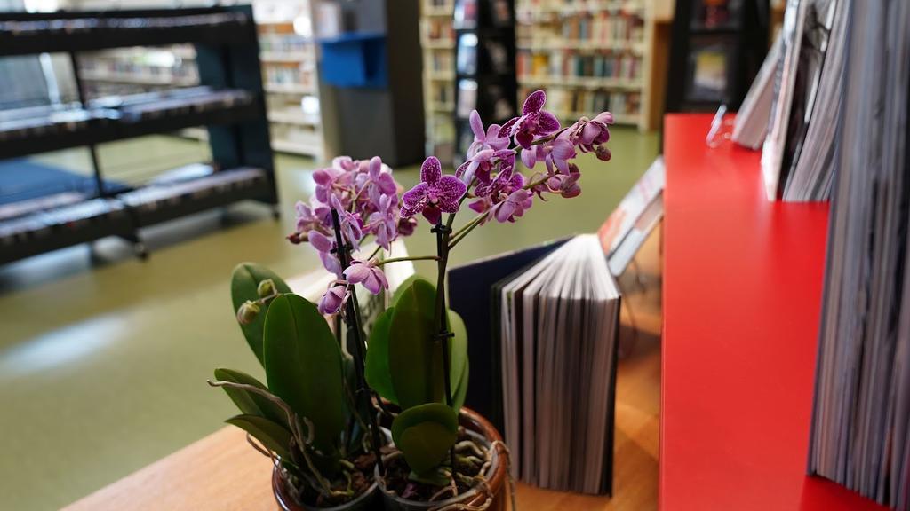 Bøker og bokhyller fra Finnøy bibliotek.