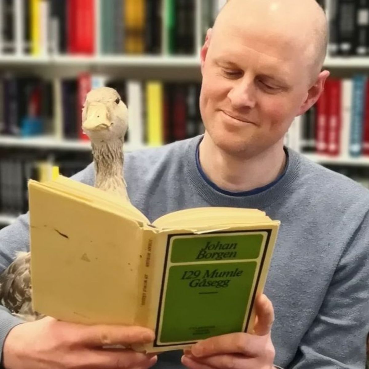 Åsmund Ådnøy leser bok med ei and