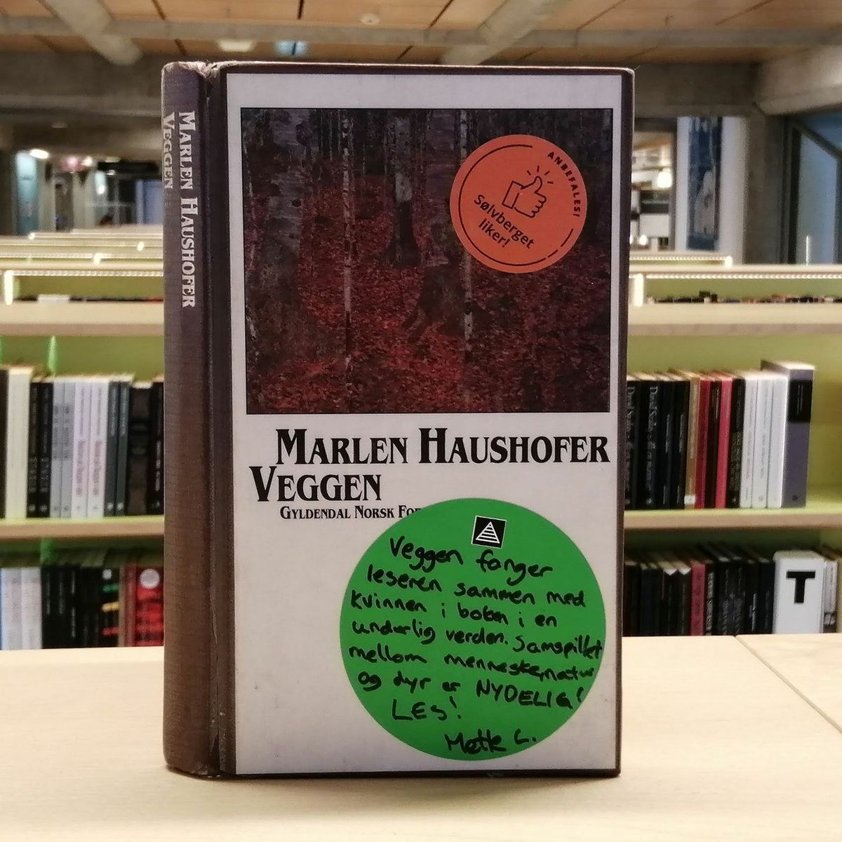 Boka Veggen av Marlen Haushofer