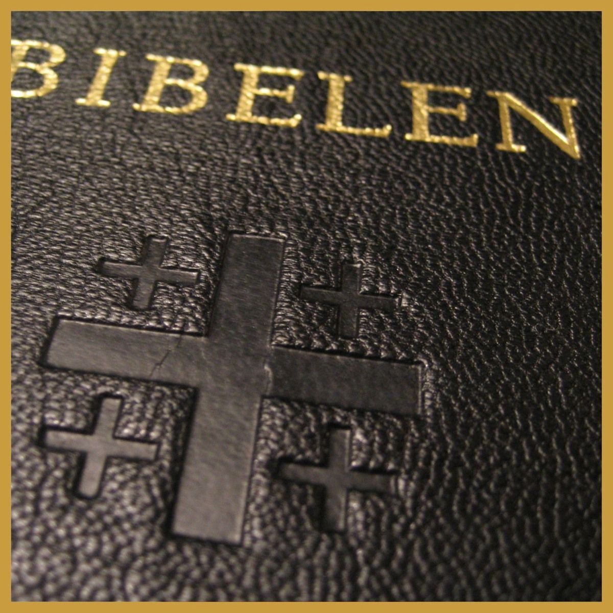 Kapittel25: Slik begynte jeg å lese i Bibelen