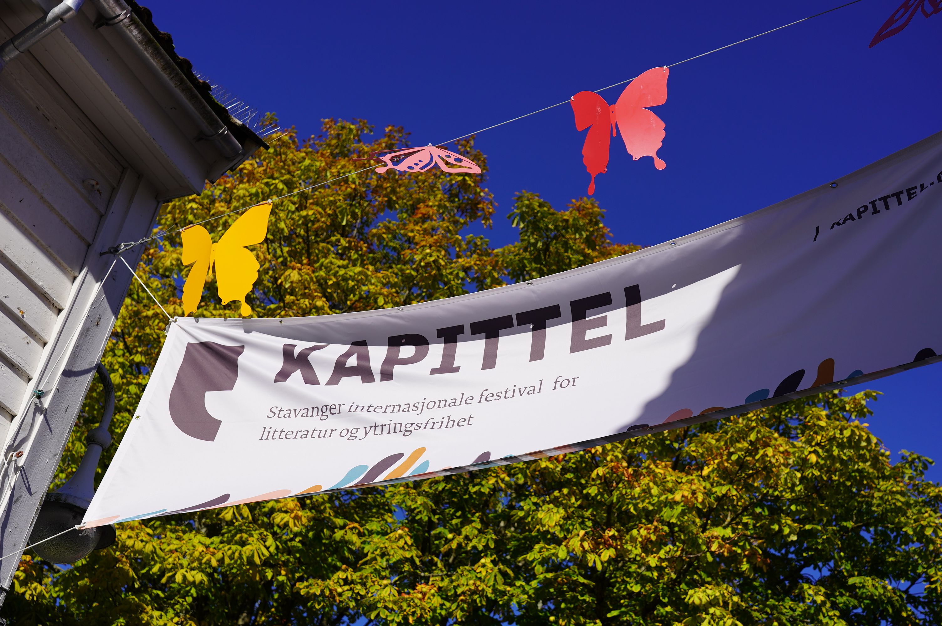 Kapittel (profilbilde)