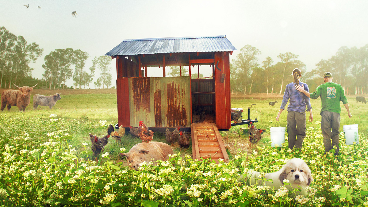 Anbefaling fra Filmoteket