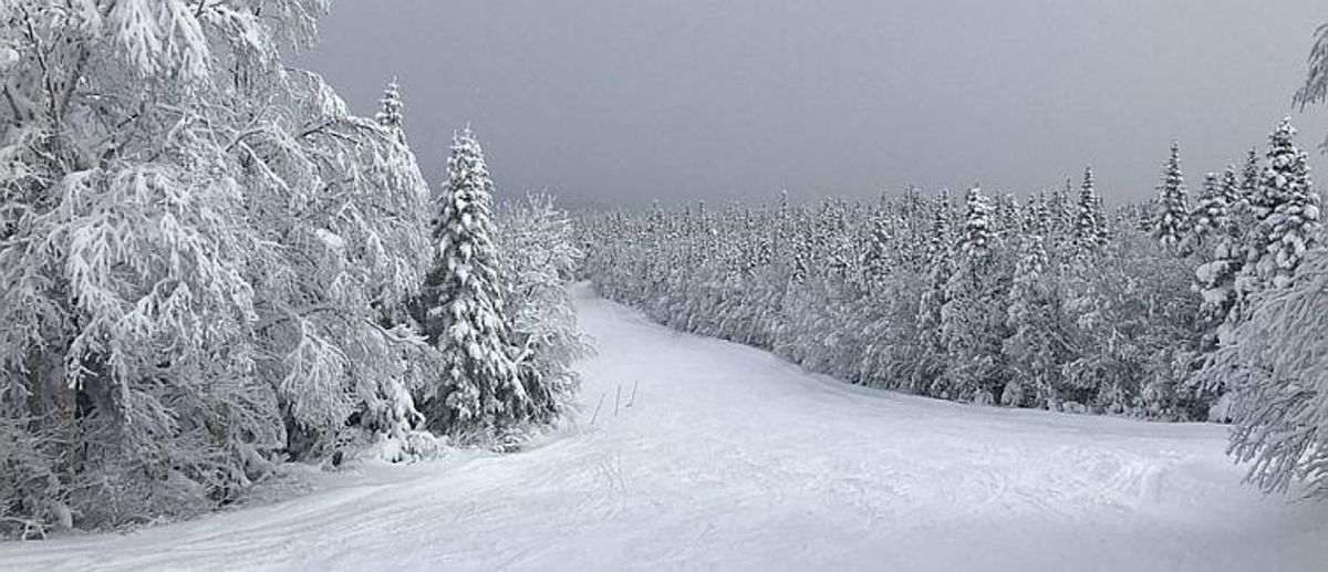 Vinterlandskap med snø