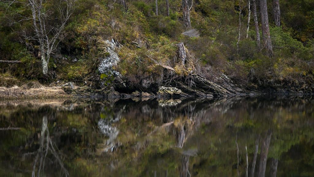 Foto: Anne Helen Robberstad 