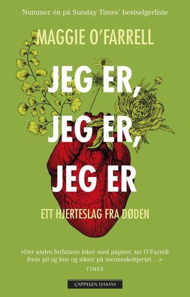 Jeg er jeg er jeg er av Maggie O'Farrell