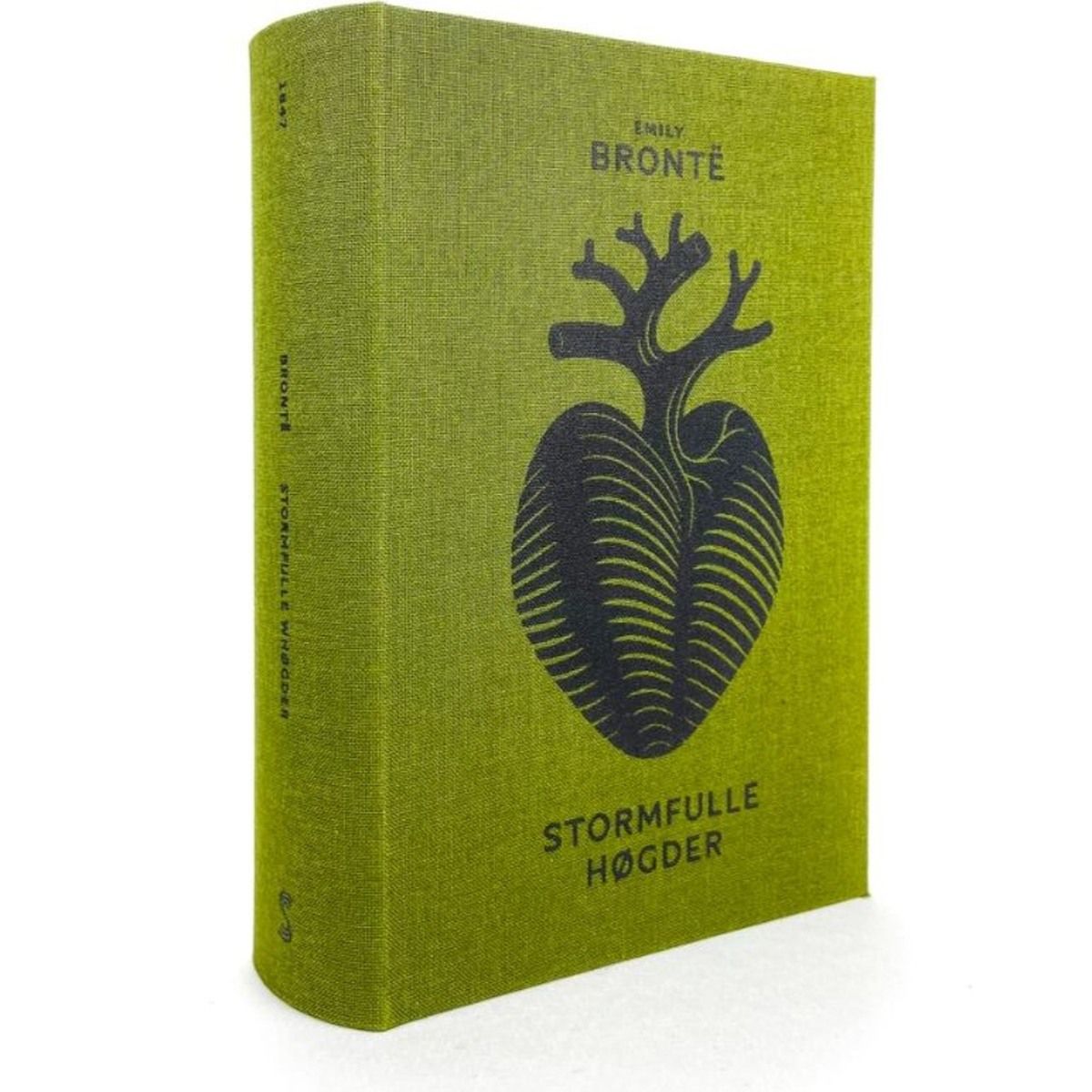 Stormfulle høyder - Tomas og Jannes umulige lesesirkel