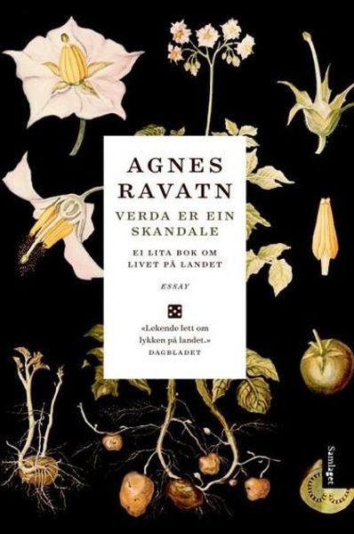 Verda er ein skandale av Agnes Ravatn