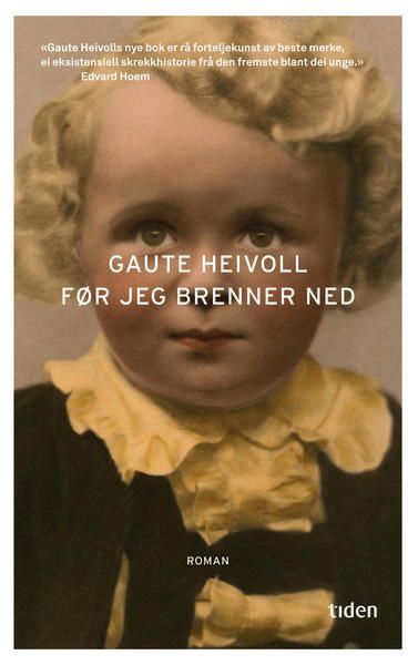 Før jeg brenner ned av Gaute Heivoll