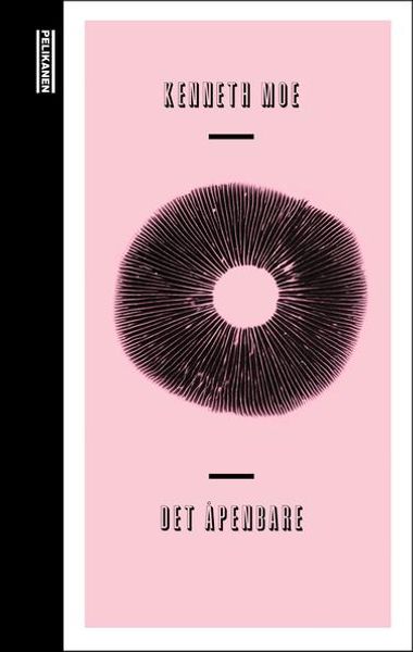 Det åpenbare av Kenneth Moe