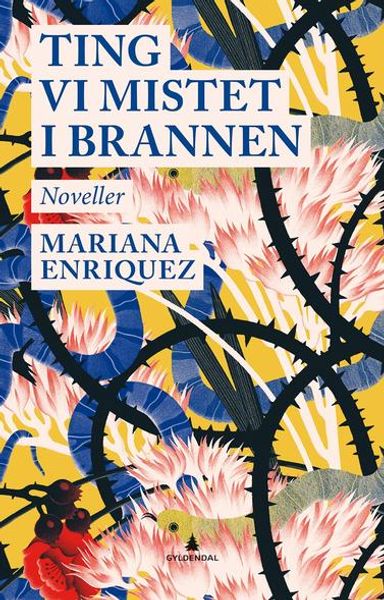 Ting vi mistet i Brannen Av Mariana Enriquez
