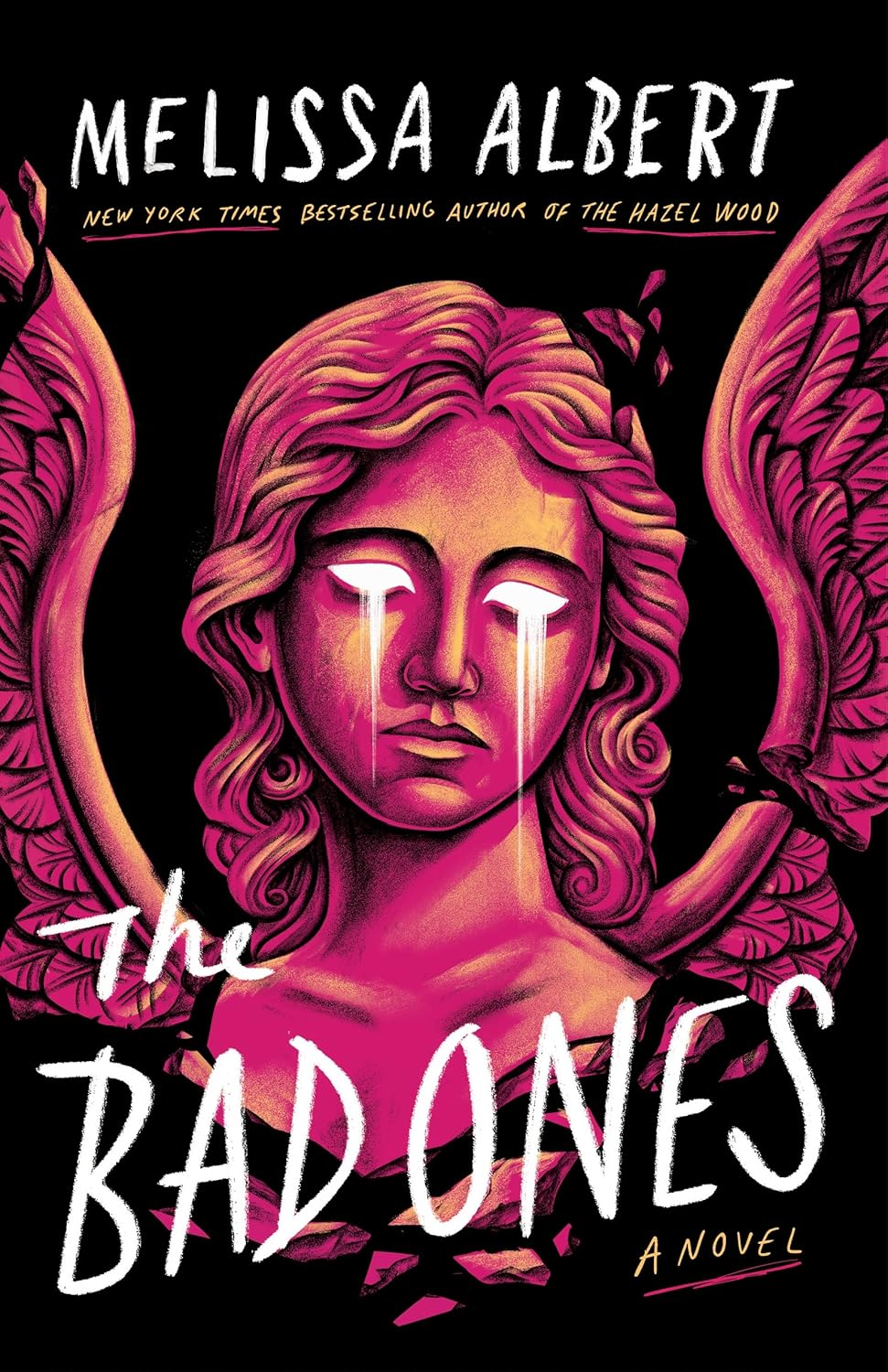 The Bad Ones A Novel utsnitt