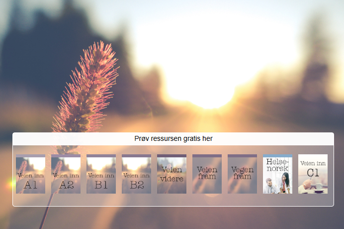 Viser nettressursene Veien inn fra a1-c1