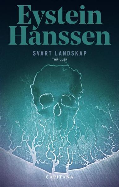 Svart landskap av Eystein Hanssen