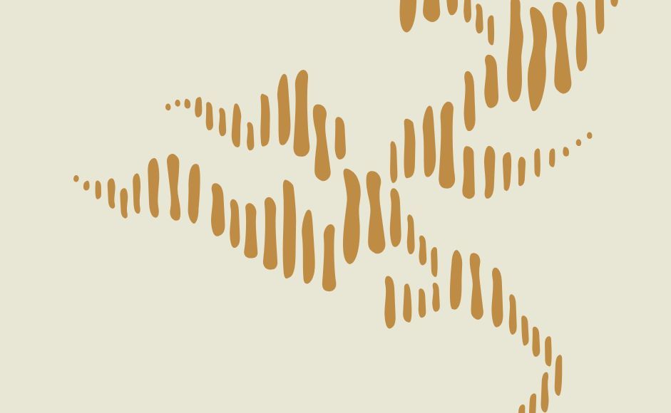 Profilelementer Kapittel