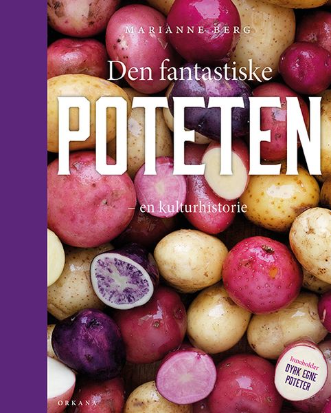 Den fantastiske poteten av Marianne Berg
