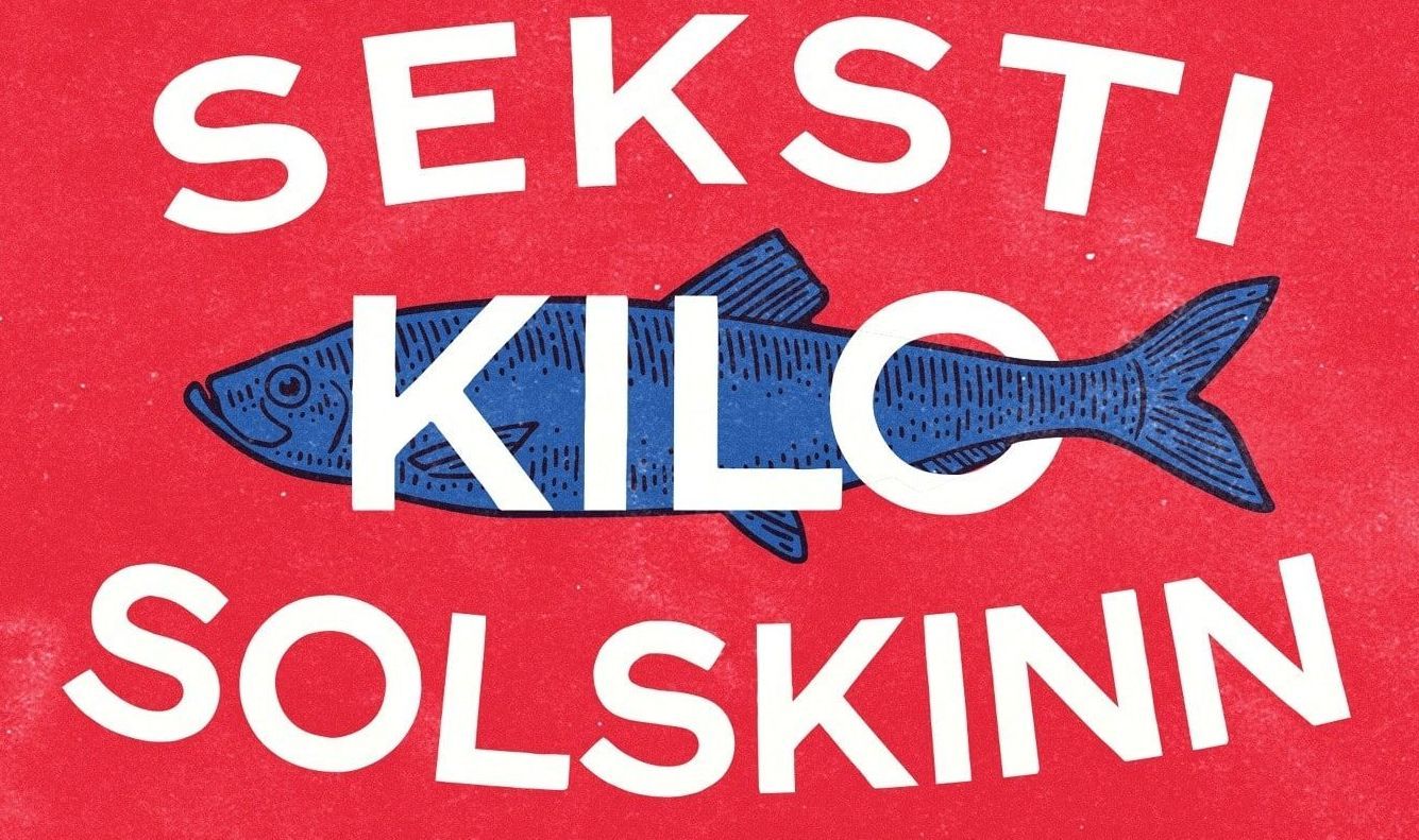 Bokcover seksti kilo solskinn