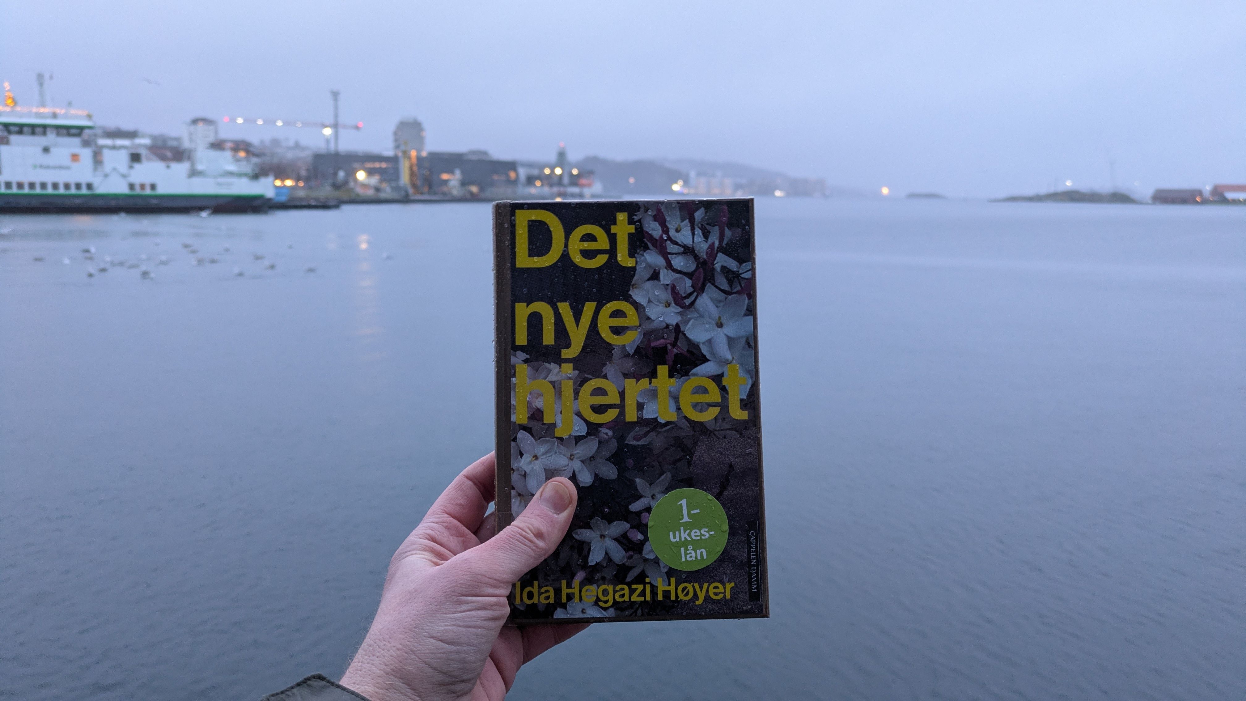 Ida Hegazi Høyers roman Det nye hjertet holdt foran en grå fjord