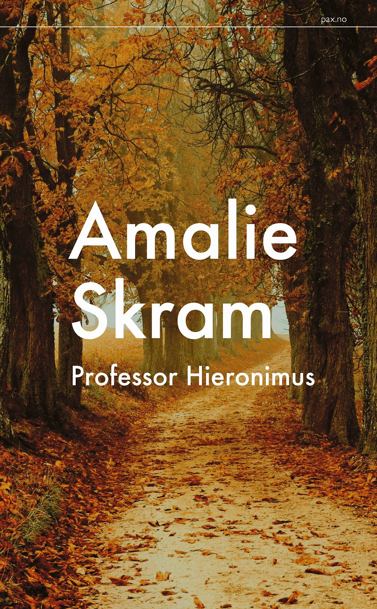 Problemstilling Til Oppgave Om Professor Hieronimus Av Amalie Skram Og ...