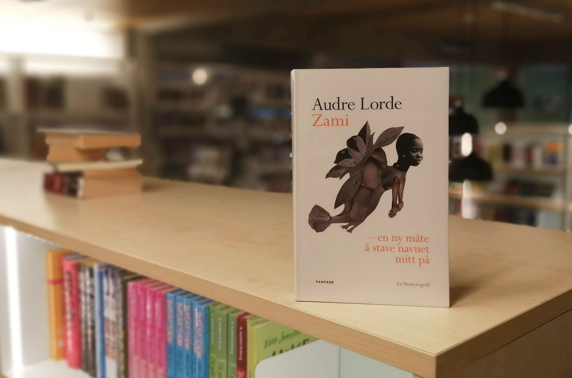 Zami - en ny måte å stave navnet mitt på av Audre Lorde på toppen av bokhylle i biblioteket