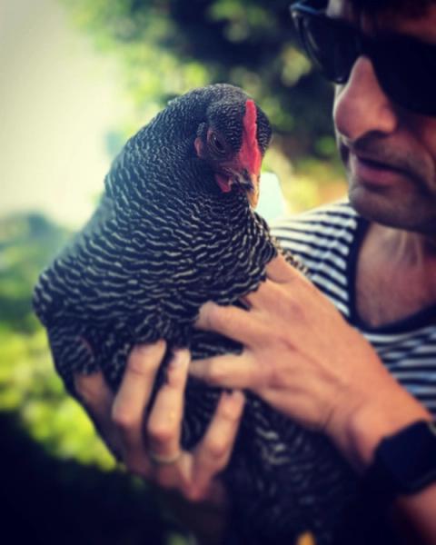 Olav Nilsen holder en høne
