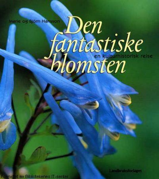 Den fantastiske blomsten av Marie og Bjørn Hansson forside