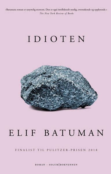 Idioten av Elif Batuman