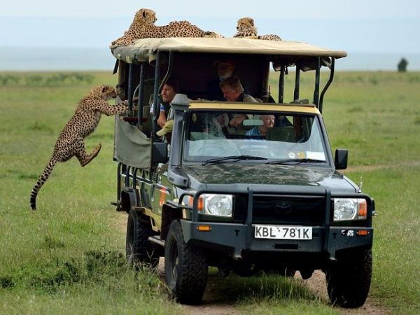 Private Conservancy Safaris 