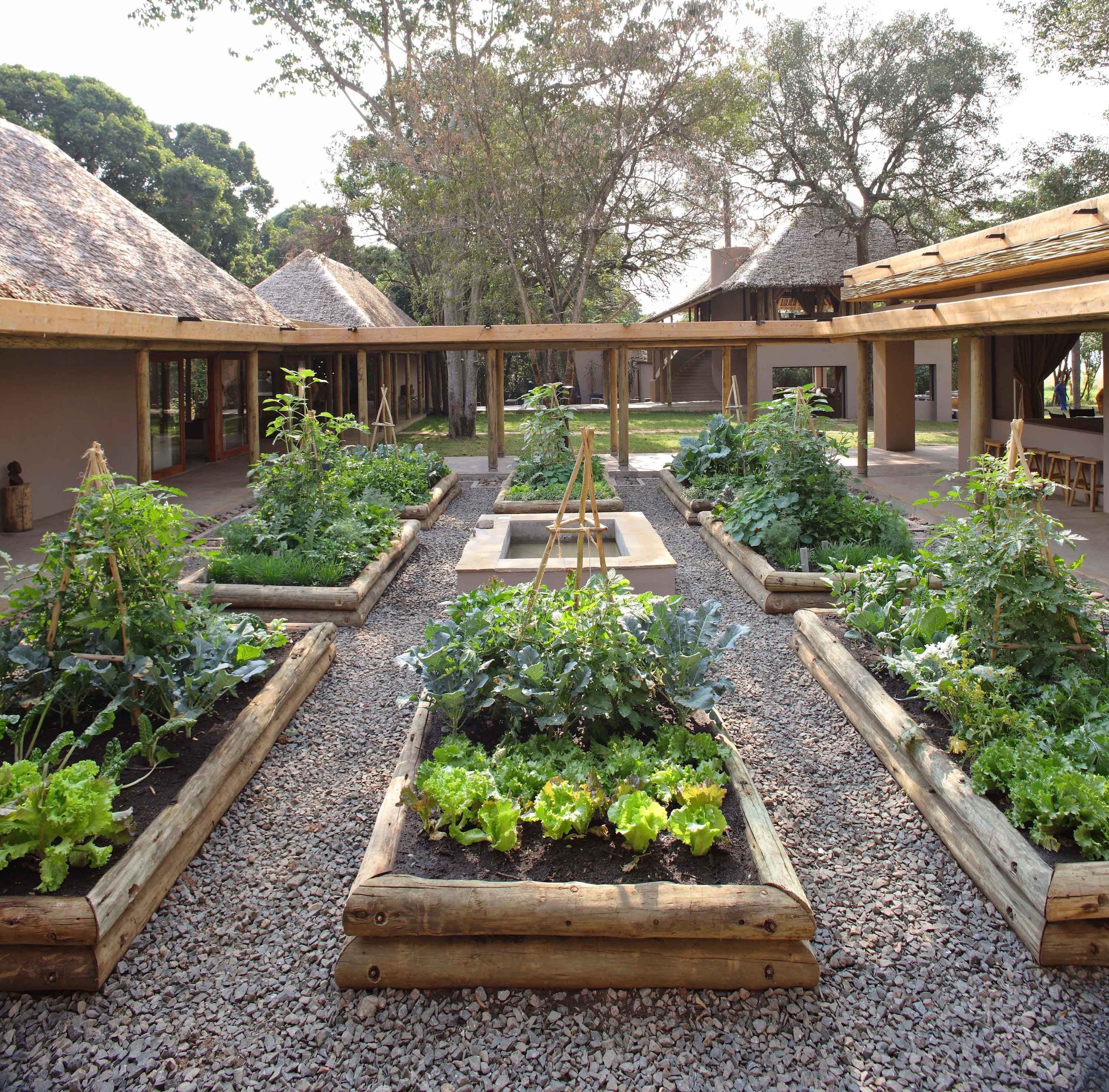 Image 7 of KICHWA TEMBO TENTED CAMP