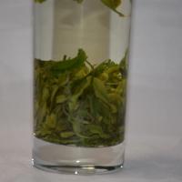 Professional glass brewing of wholesale organic Enshi Yulu green tea, showcasing a clear light green liquor and pine-needle shaped infused leaves.