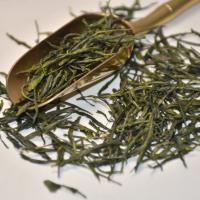 Wholesale organic Enshi Yulu (steamed green tea), featuring premium needle-like dark green dry leaves and a golden tea scoop.