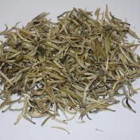 Quality inspection of wholesale Guangxi Silver Needle white tea, displaying stout tea buds covered with abundant white hairs.