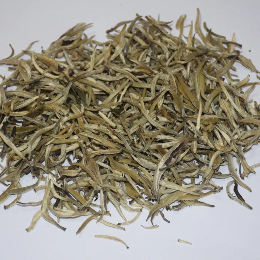 Quality inspection of wholesale Guangxi Silver Needle white tea, displaying stout tea buds covered with abundant white hairs.