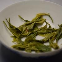 Professional quality assessment of wholesale organic Enshi Yulu, displaying tender and uniform wet leaves in a white ceramic bowl.