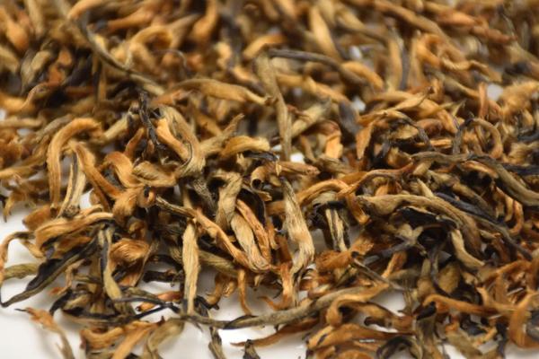 Close-up of premium Shaoguan Honey Black Tea dry leaves, showing abundant golden tips on a white plate.