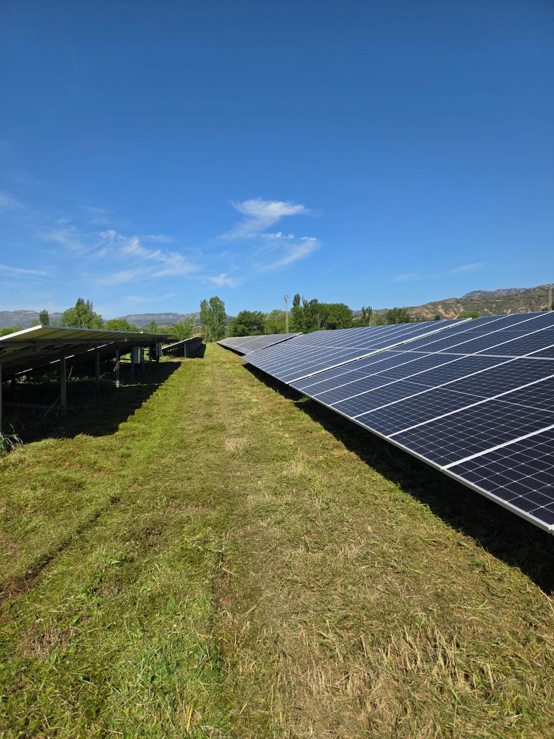 desbrozamiendo instalacion solar