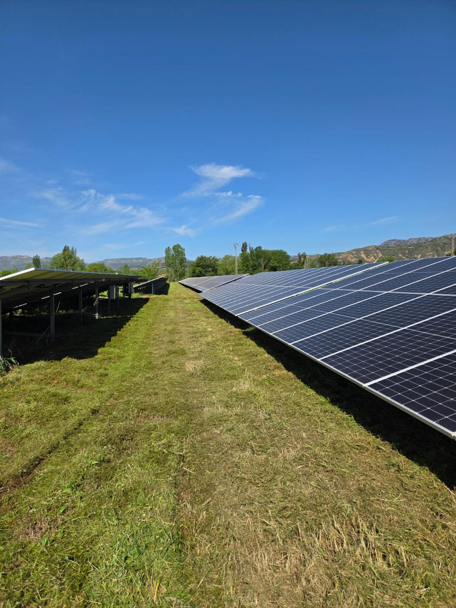 desbrozamiendo instalacion solar