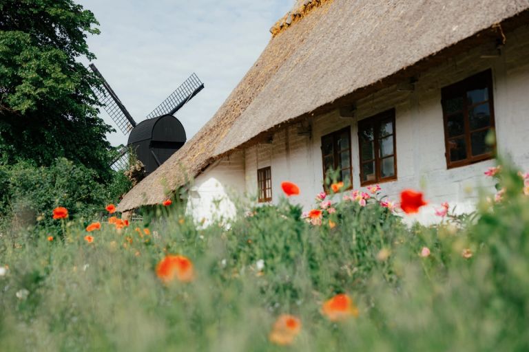 Huse, gårde og møller