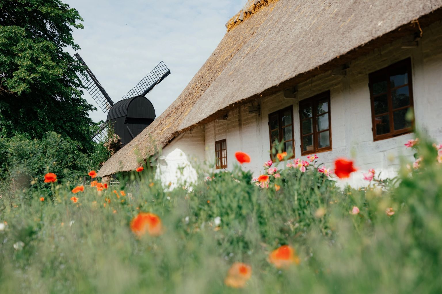 Huse, gårde og møller