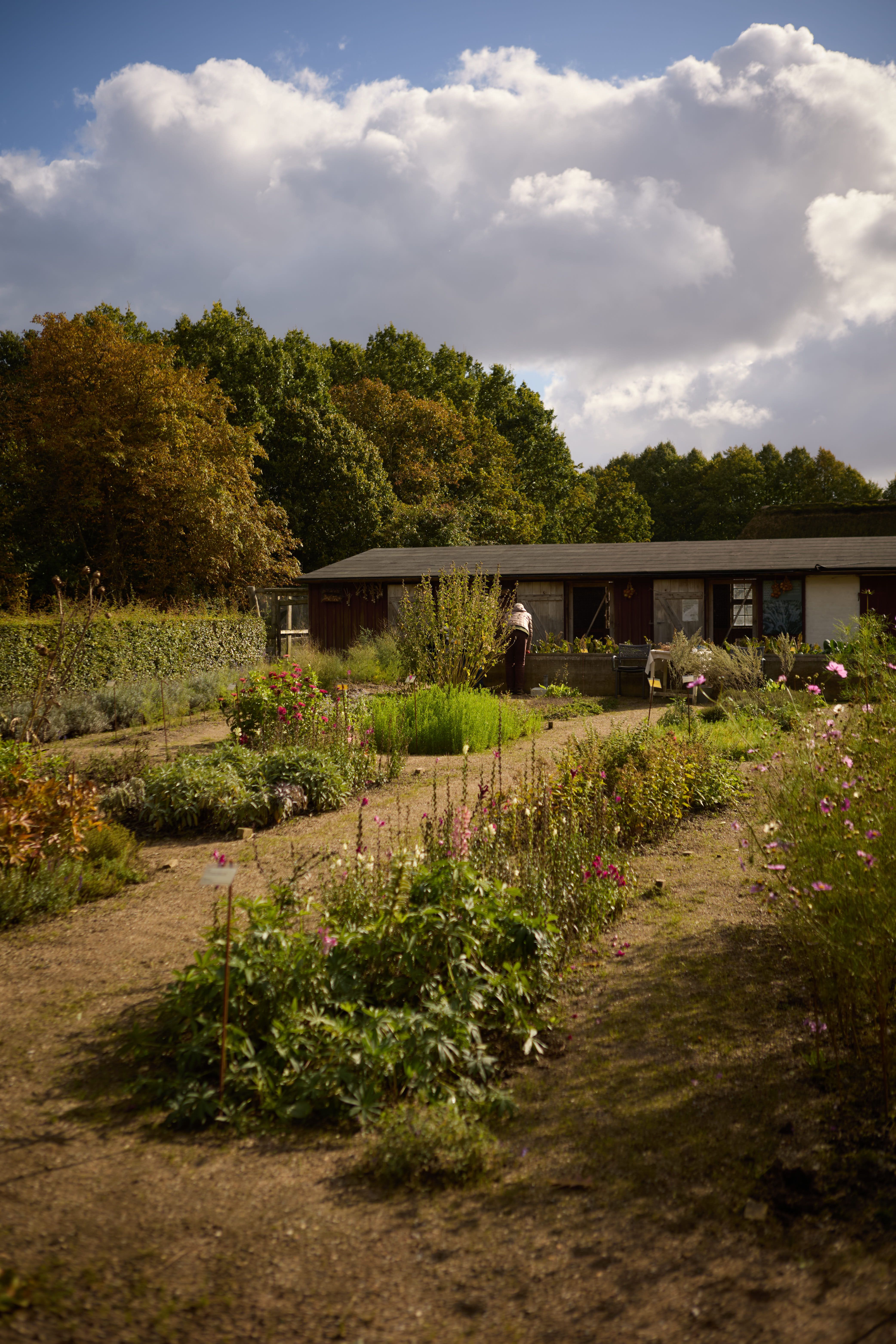 Kom med i køkkenhaven