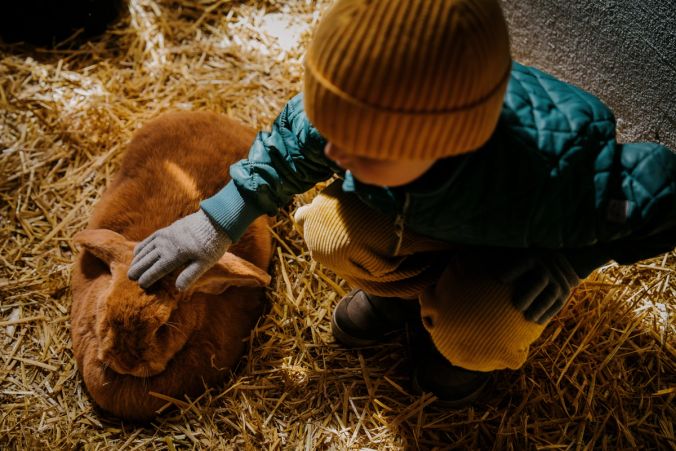 Påsketraditioner og æggemagi