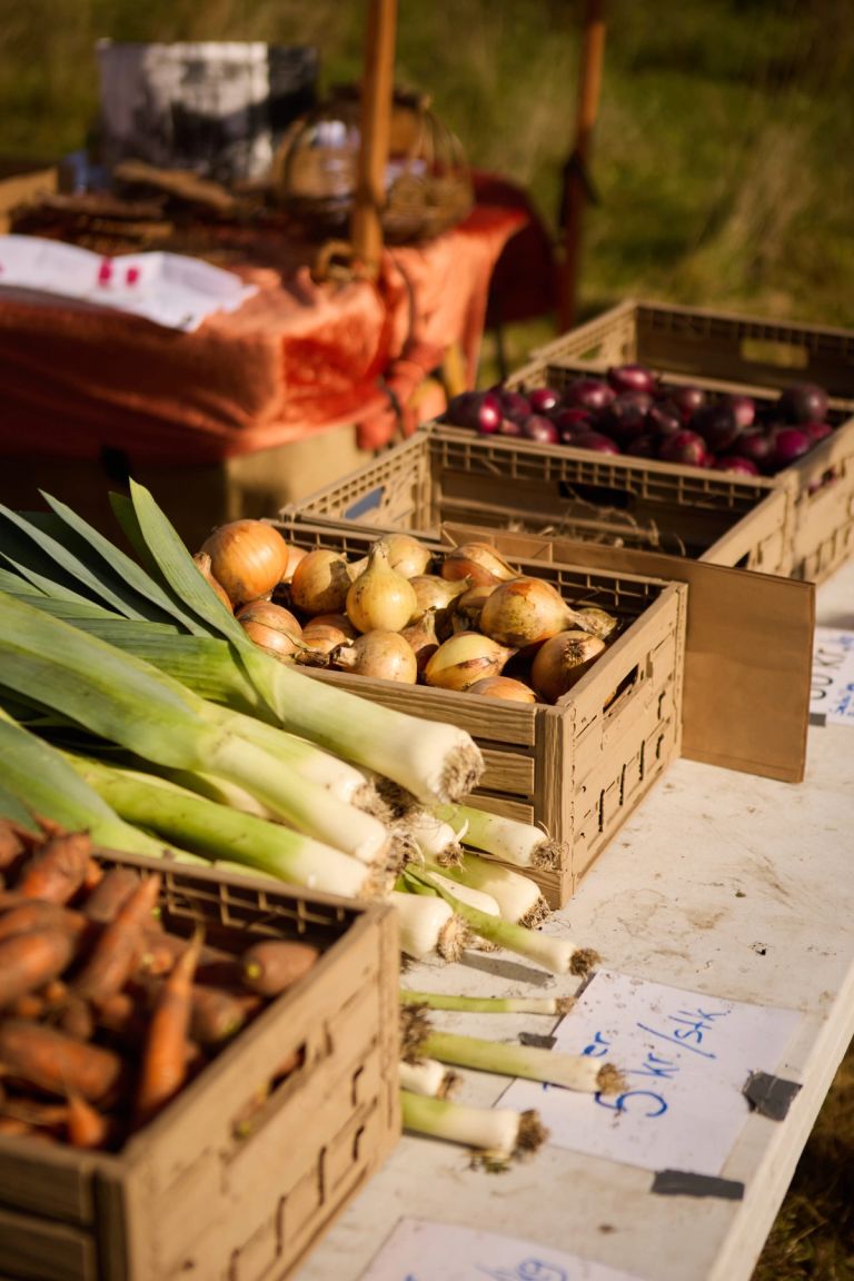 En bod på høstmarkedet med salg af friske grønsager, som er opdelt i trækasser. Fra kasserne i boden sælges der gulerødder, porre, løg og rødløg.