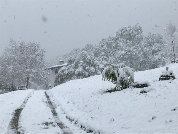 Avinal Casa — foto 4