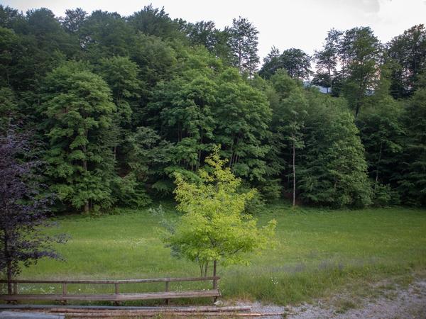 Avinal Casa — foto 5