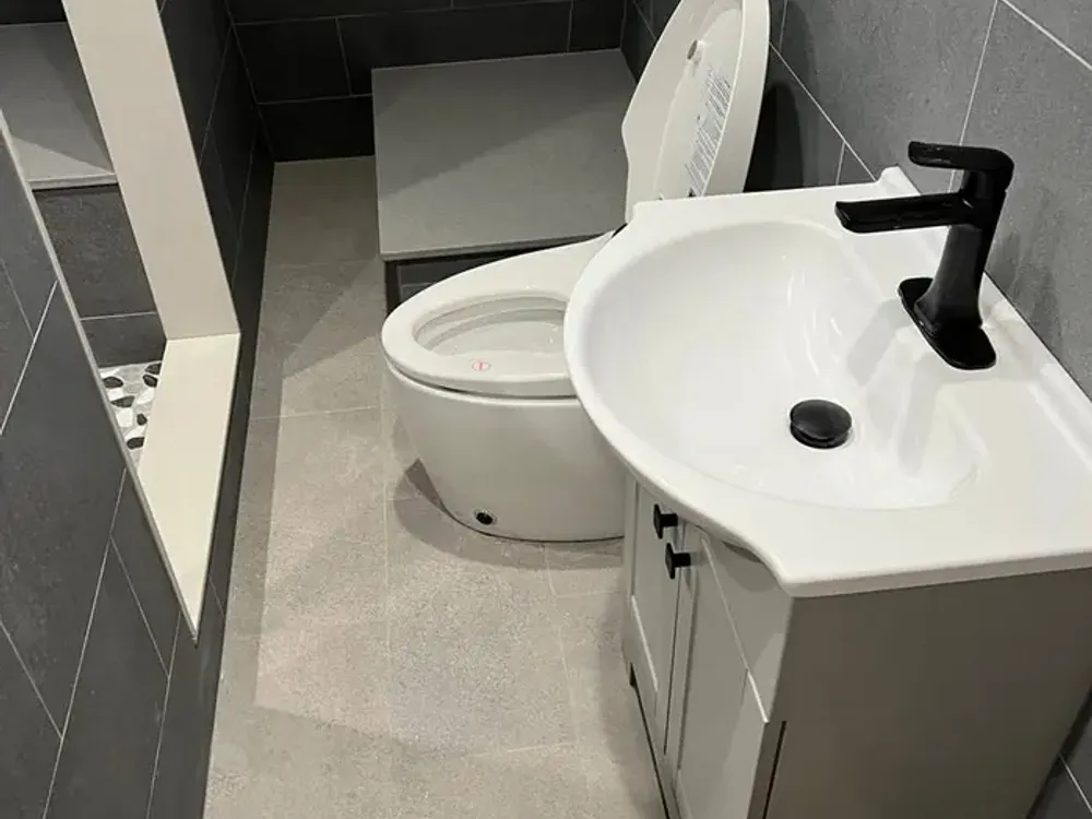 Toilet and vanity with black fixtures
