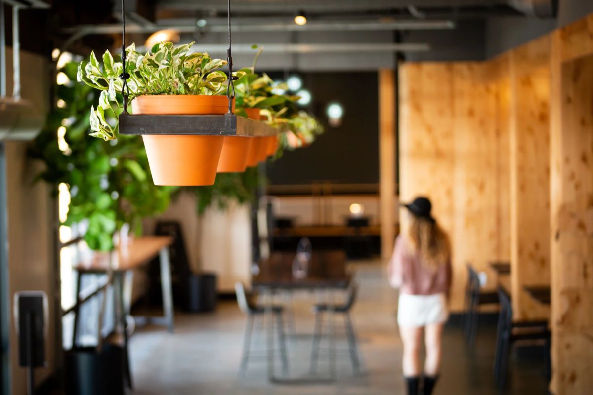 HOMA Cafe Seating Area