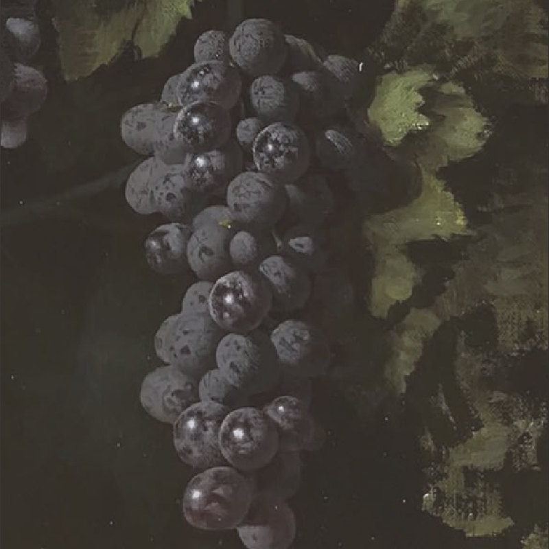 TRANS-RESVERATROL 99%