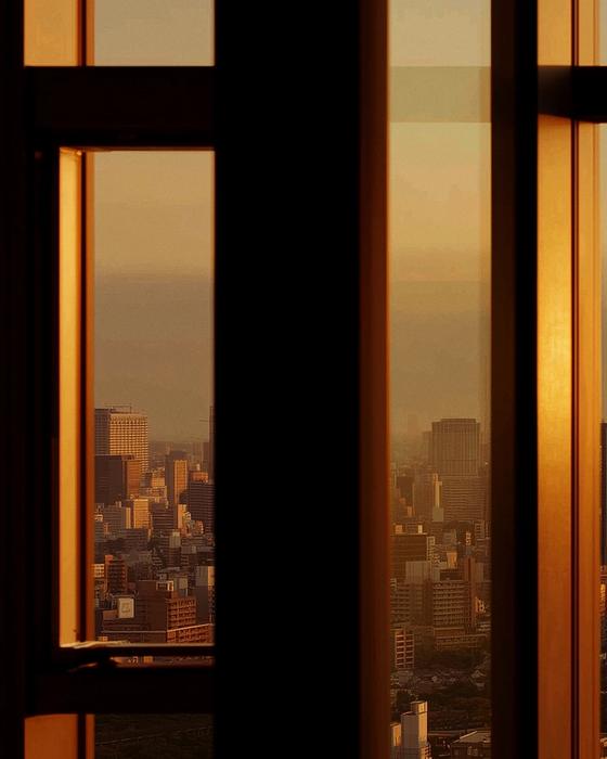 Marketplaces
& Platforms