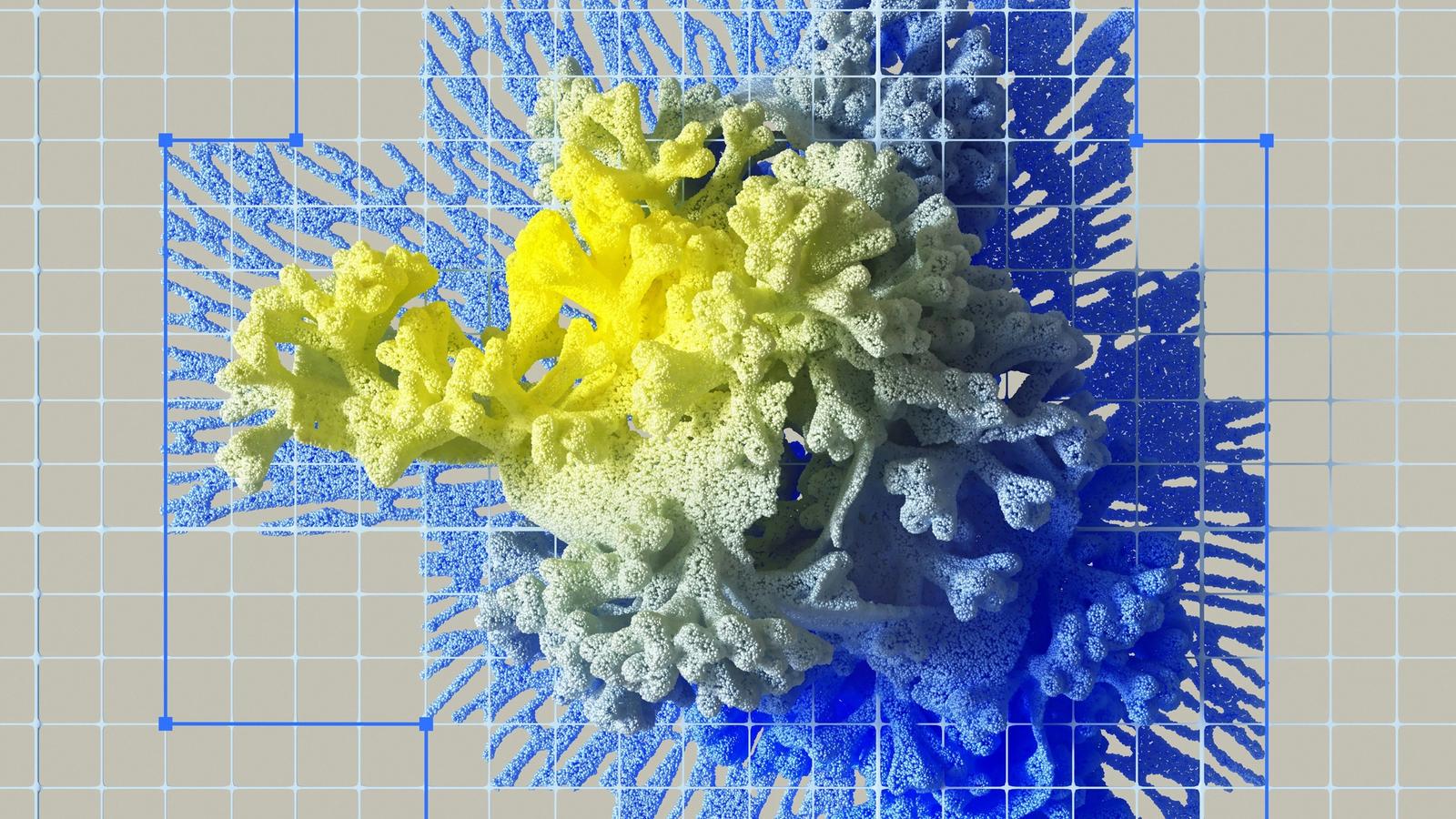FLock cover image