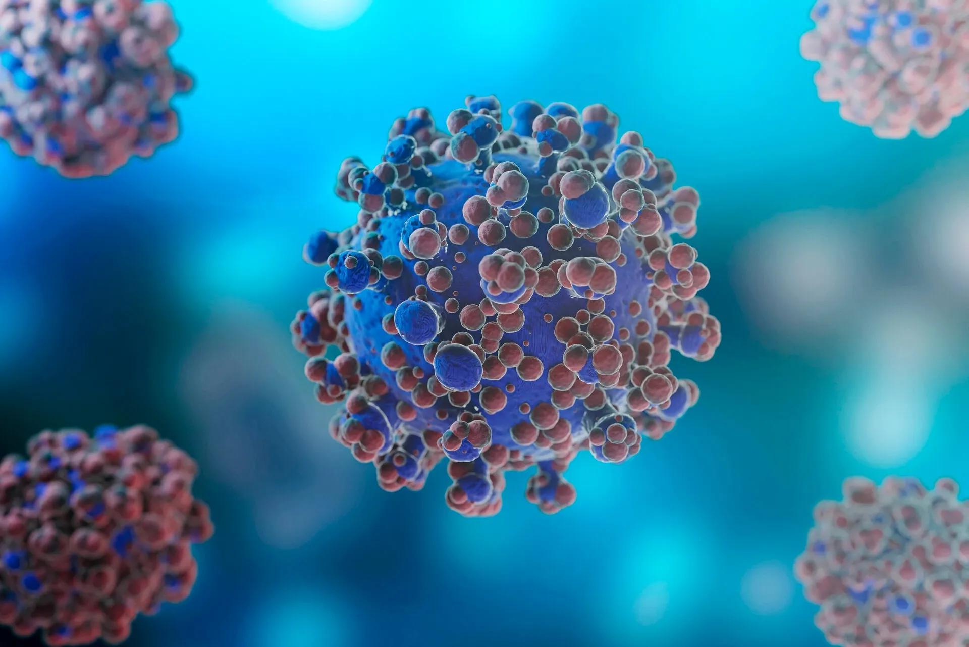 Monkeypox Virus